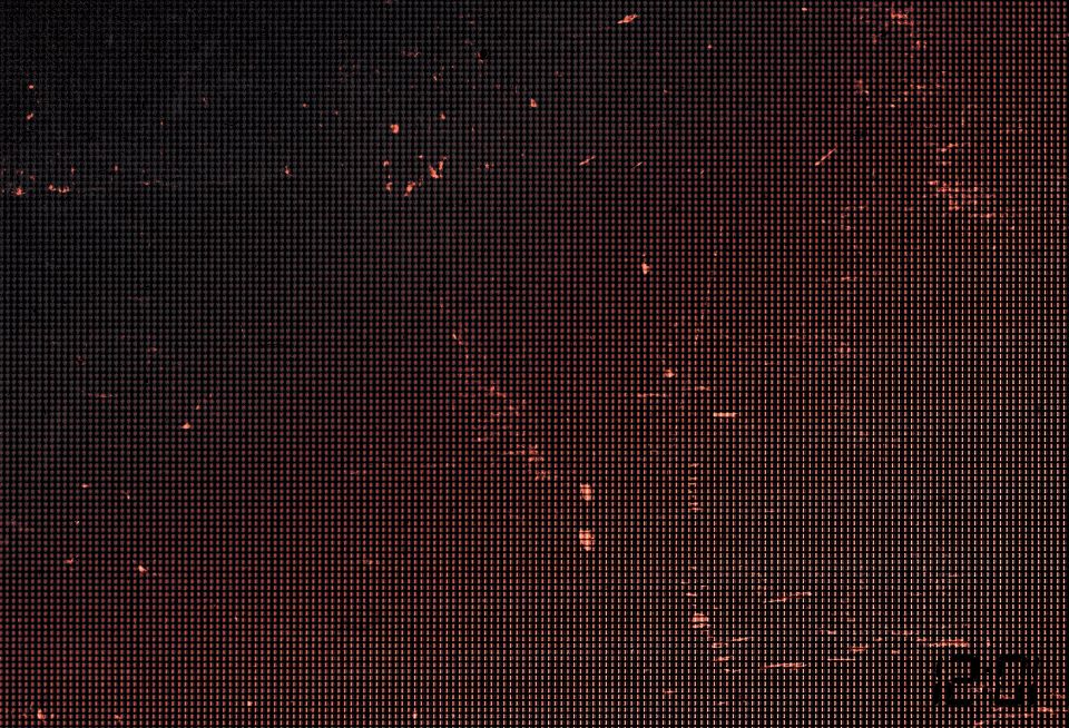 "Midnight Row" back page, spread 10